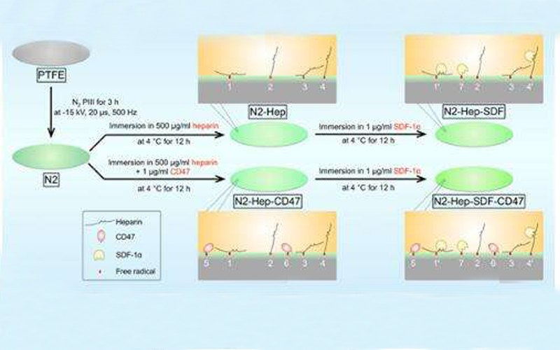 等離子體表面處理機處理高分子材料
