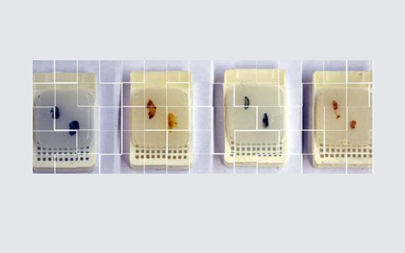 切片機(jī)切片樣品